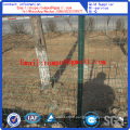 PVC Coated Holland Wire Mesh / Farm Fence